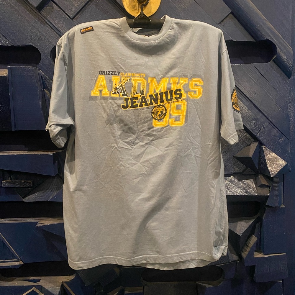 Vintage 2000s akademiks blue size xl (A36)